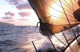 Regatta